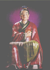 丁巳太岁，杨彦大将军传略