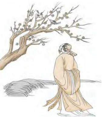 邵雍与梅花易数