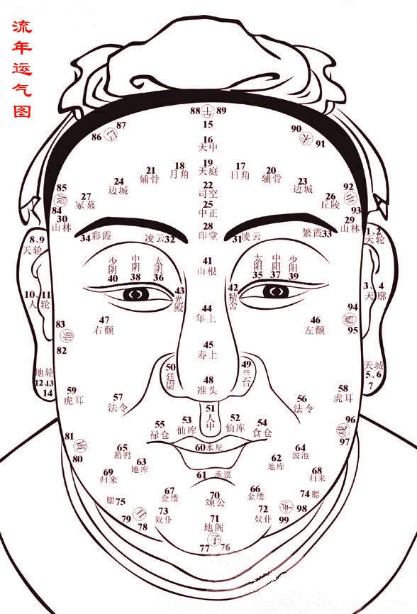 面相流年图，面相百岁流年图解