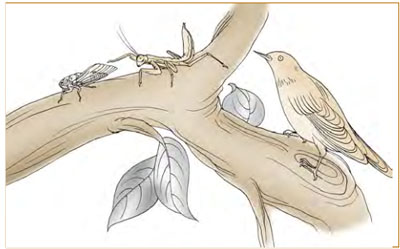 六四：翩翩不富，以其邻不戒以孚。