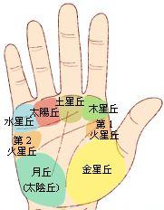 掌丘命，手相掌丘命运图解、从掌丘洞悉运势
