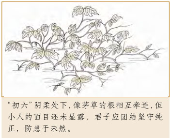 否卦第一爻，爻辞