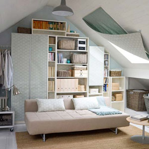 客厅财位与东南方的财位、财位的吉祥物