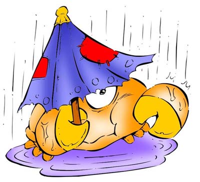 巨蟹座人的事业与财运