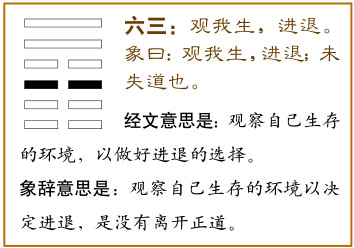 六三：观我生，进退。