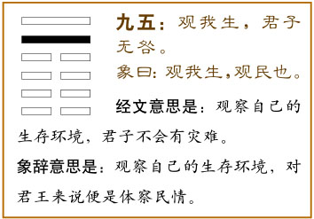 九五：观我生，君子无咎。