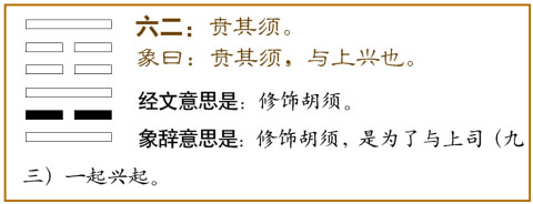 六二：贲其须。