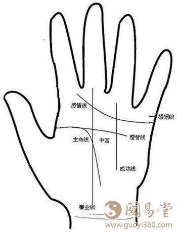 观察手相图解,首先要观察四条线
