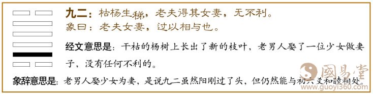 大过卦第二爻,爻辞:九二:枯杨生梯,老夫得其女妻,无不利。