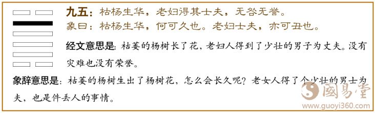 大过卦第五爻，爻辞：九五：枯杨生华，老妇得其士夫