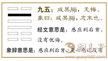 咸卦第五爻，爻辞：九五：咸其晦，无悔。