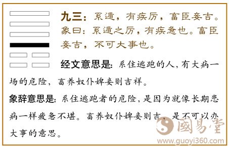遁卦第三爻，爻辞：九三：系遁，有疾厉，畜臣妾，吉。