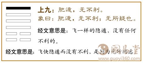 遁卦第六爻，爻辞：上九：肥遁无不利。