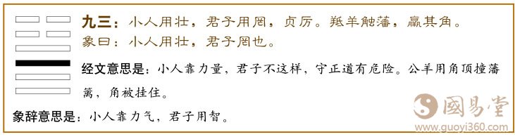 大壮卦第三爻，爻辞：九三：小人用壮，君子用罔；贞厉，羝羊触藩，羸其角。