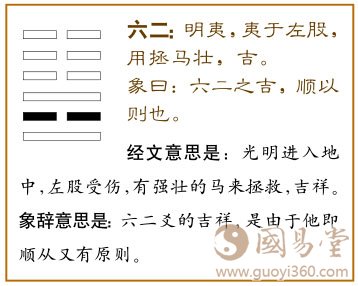 明夷卦第二爻，爻辞：六二：明夷，夷于左股，用拯马壮，吉。爻辞释义