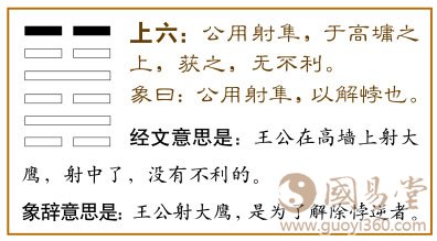 解卦第六爻，爻辞：上六：公用射隼于高墉之上，获之，无不利。