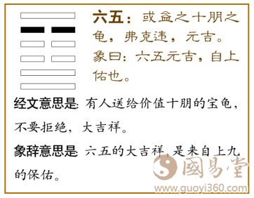 损卦第五爻，爻辞：六五：或益之十朋之龟，弗克违，元吉。