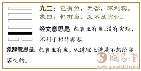 姤卦第二爻，爻辞：九二：包有鱼，无咎；不利宾。