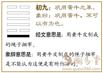革卦第一爻，爻辞：初九：巩用黄牛之革。