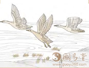 初六：鸿渐于干；小子厉，有言，无咎。