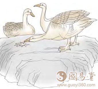 六二：鸿渐于磐，饮食桁桁，吉。