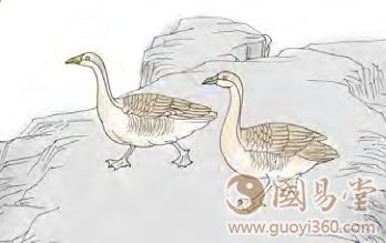 九三:鸿渐于陆,夫征不复,妇孕不育,凶;利御宼。