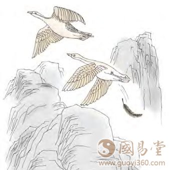 上九：鸿渐于陆，其羽可用为仪，吉。