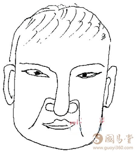 什么是土型人，土型人有何特点？