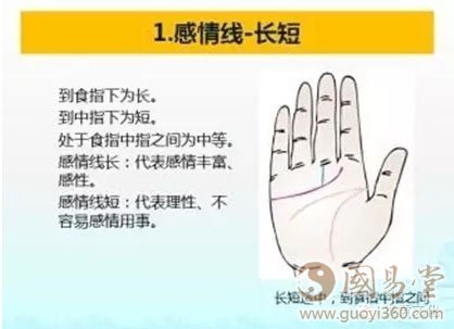 感情线长短